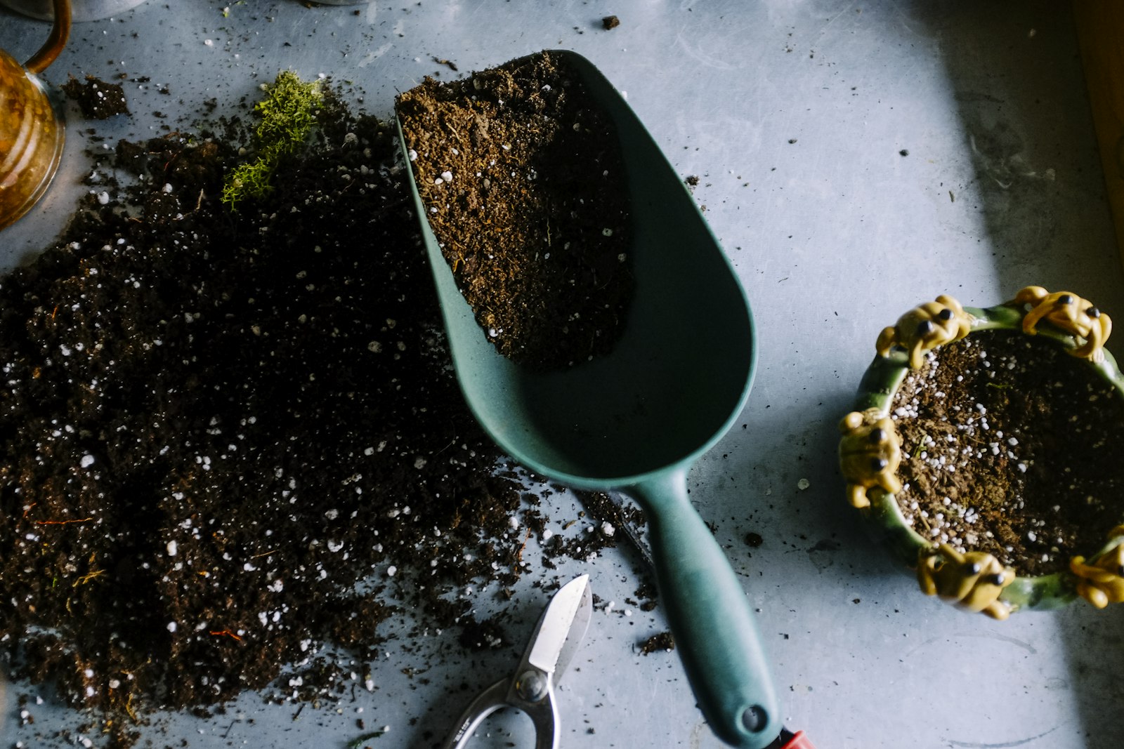 Garden Clean-Ups